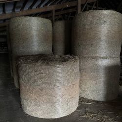 2nd cutting Mixed Orchard Grass Dry Hay Large Round Bales