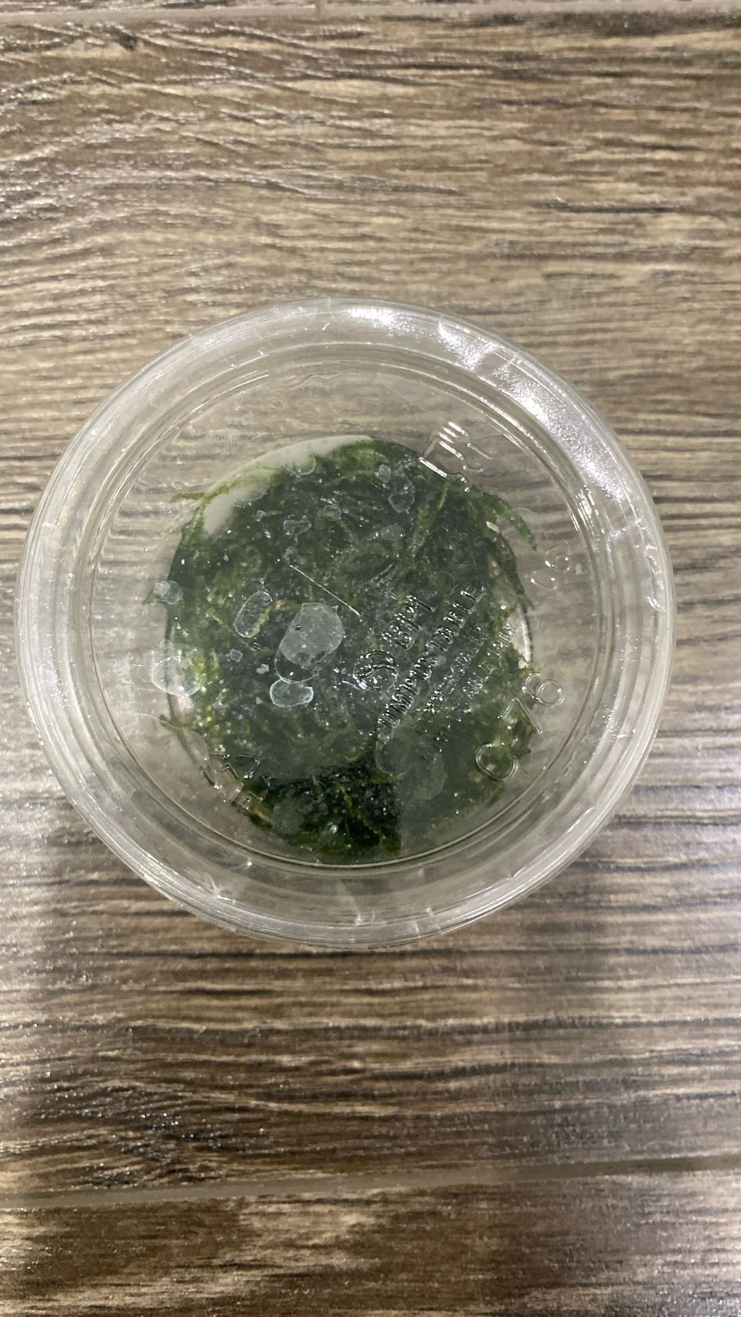 Trading Java Moss for Water Sprite 