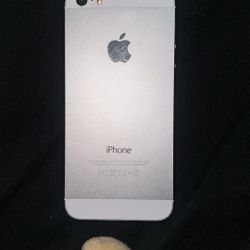 iPhone 5
