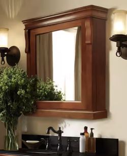 Home Decorators Collection Naples 25 in. W x 31 in. H Rectangular Medicine Cabinet with Mirror