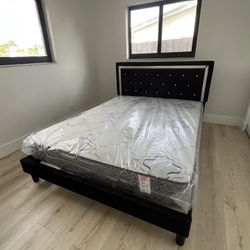Full Size Regular + Box Spring 