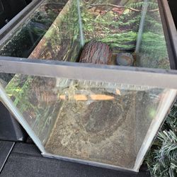Reptile Tank 