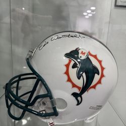Full Size Helmet Signed by Dave Wannstedt
