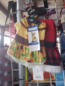 Dog clothes
