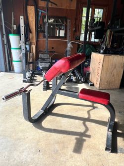 Preacher Curl Bench