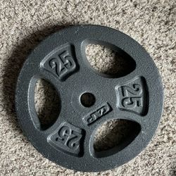 25 LB Weight plate