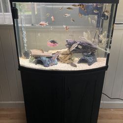 36 Gallon Tank With Stand And Filter 