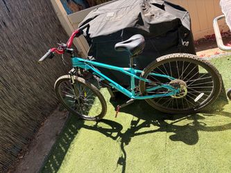 GT Aggressor Pro mountain bike