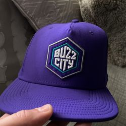 Brand new Jordan hornets buzz city flat hat 