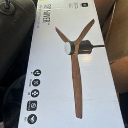Ceiling Fan