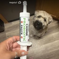 New Dogzymes Canine Probiotic Paste Beneficial Bacteria-Enzyme 2.3 Billion CFU/gm Saccharomyces boulardii Organic Dried Honey Powder (60 Gram)