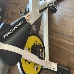 Pro-Form Tour de France Stationary Bicycle. Exercise Bike in great shape with working screen