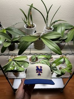 New York Mets 7 1/4 New Era Fitted Hat