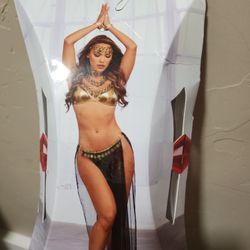 Halloween - Gypsy Dancer Costume 