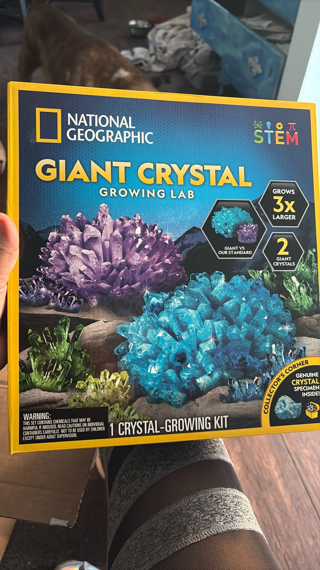 National Geographic Giant Crystal Growing Lab