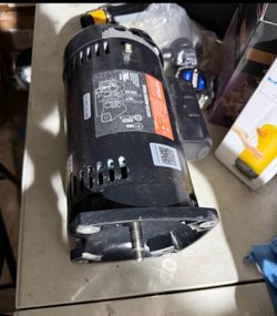 Pool pump motor