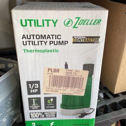 Automatic utility pump