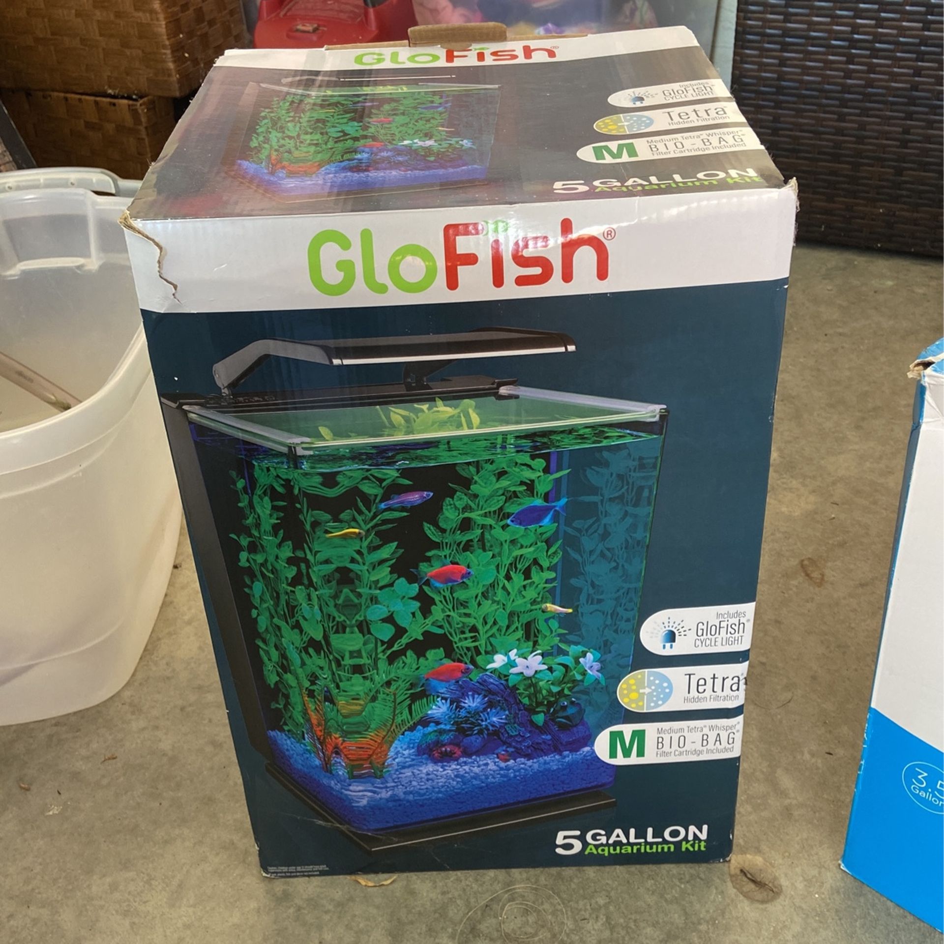 Glofish Aquarium 5 Gallon