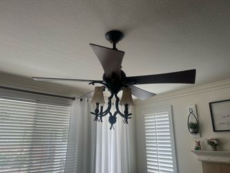 Ceiling fan $30