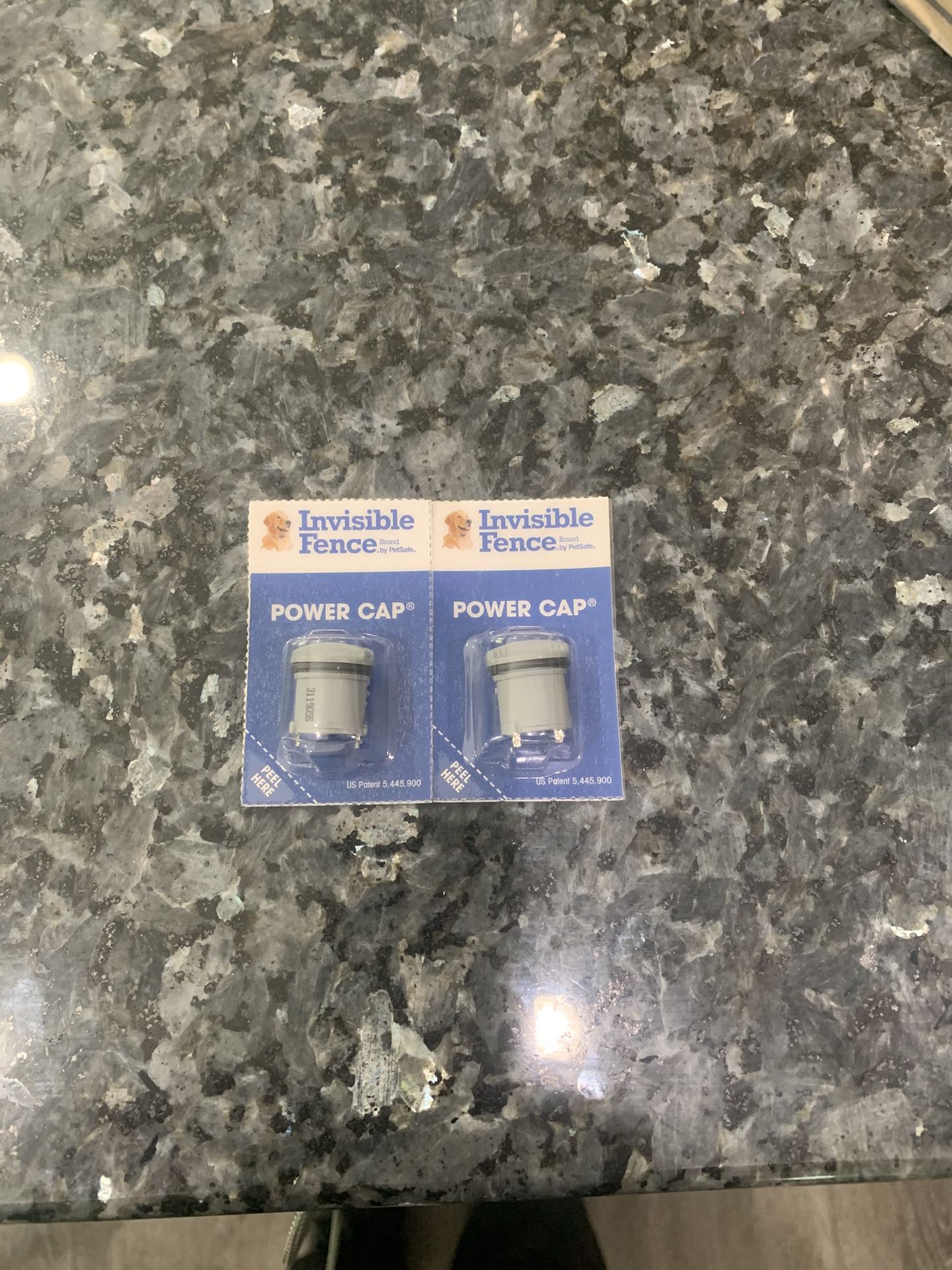INVISIBLE FENCE BRAND POWER CAP DOG COLLAR BATTERY