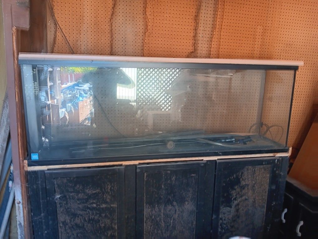 Fish or Reptile Tank