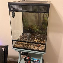 Tall Square Reptile Enclosure $100