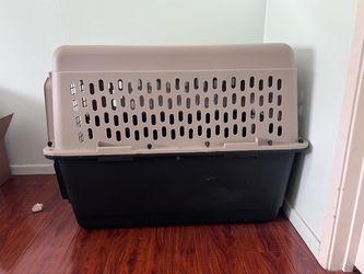 Large Hard-Sided Pet Travel Crate