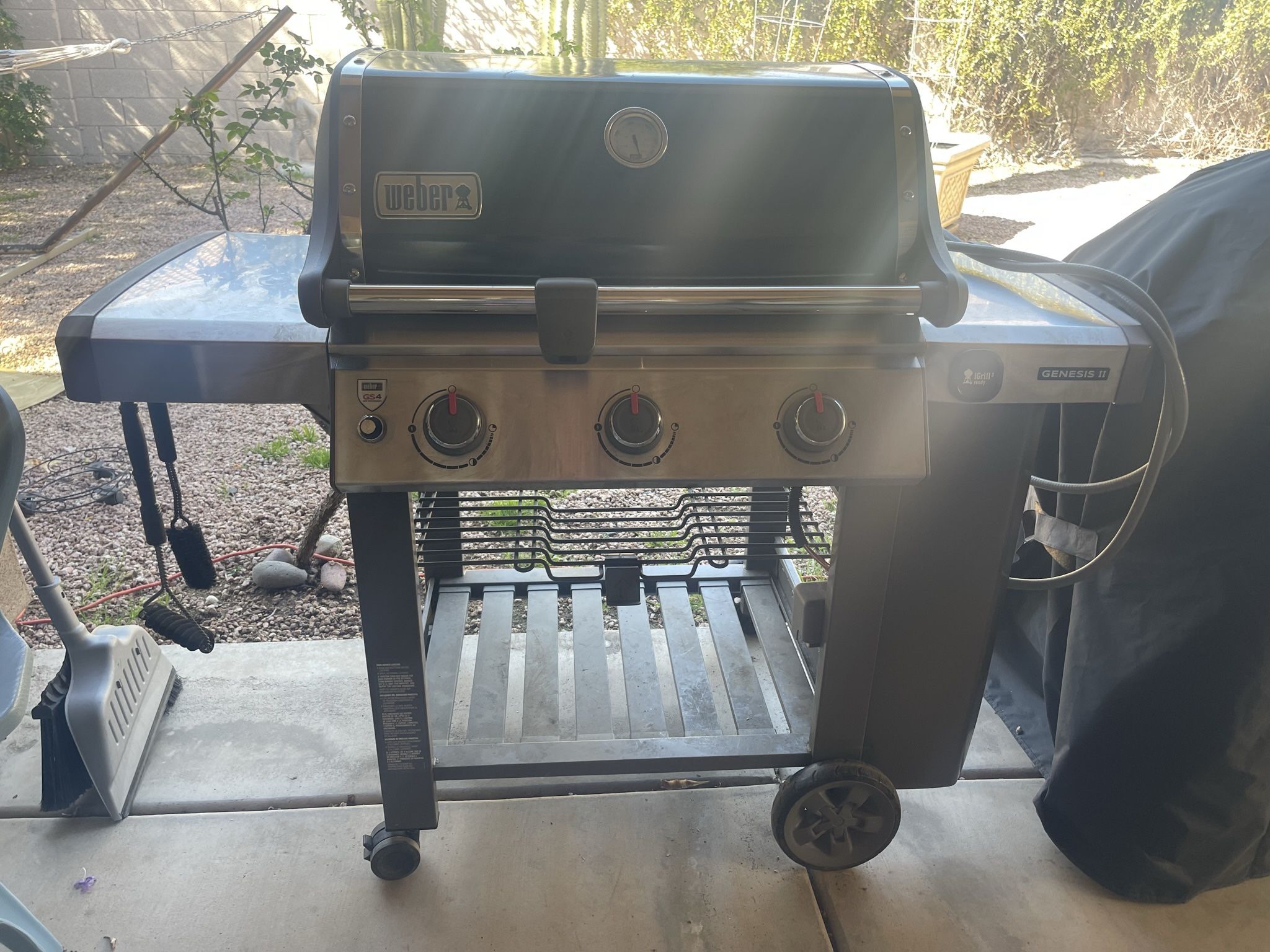 Weber Grill