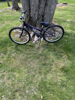 26” Raleigh mountain bike (small frame)