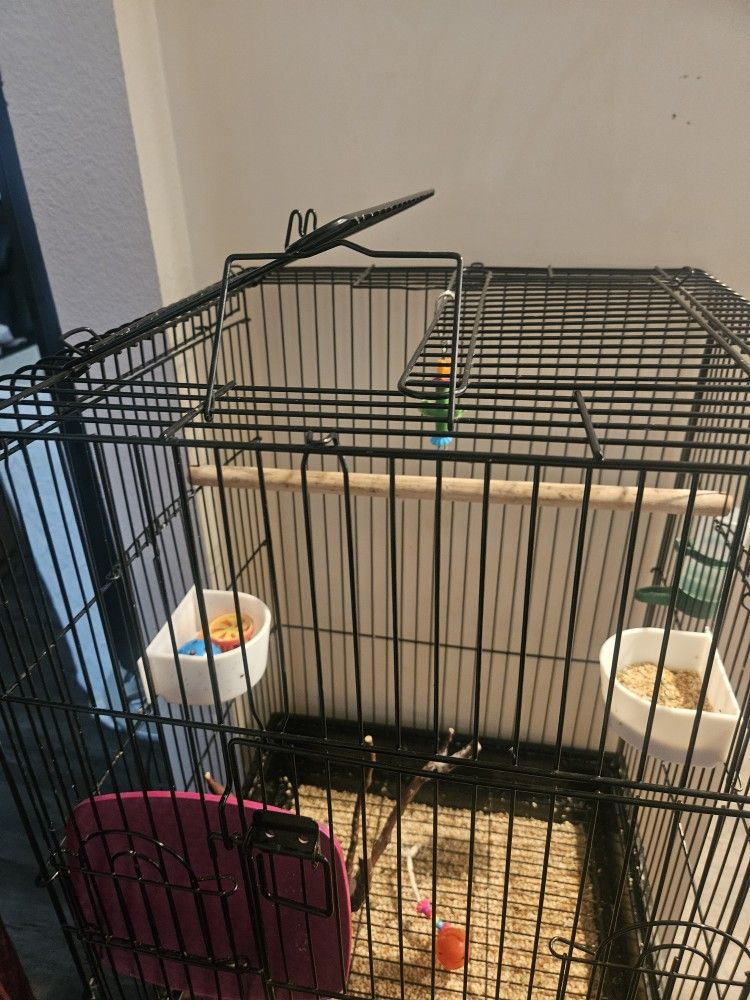 Bird Cage