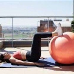 Danskin Pink Exercise Yoga Ball 60cm - OBO
