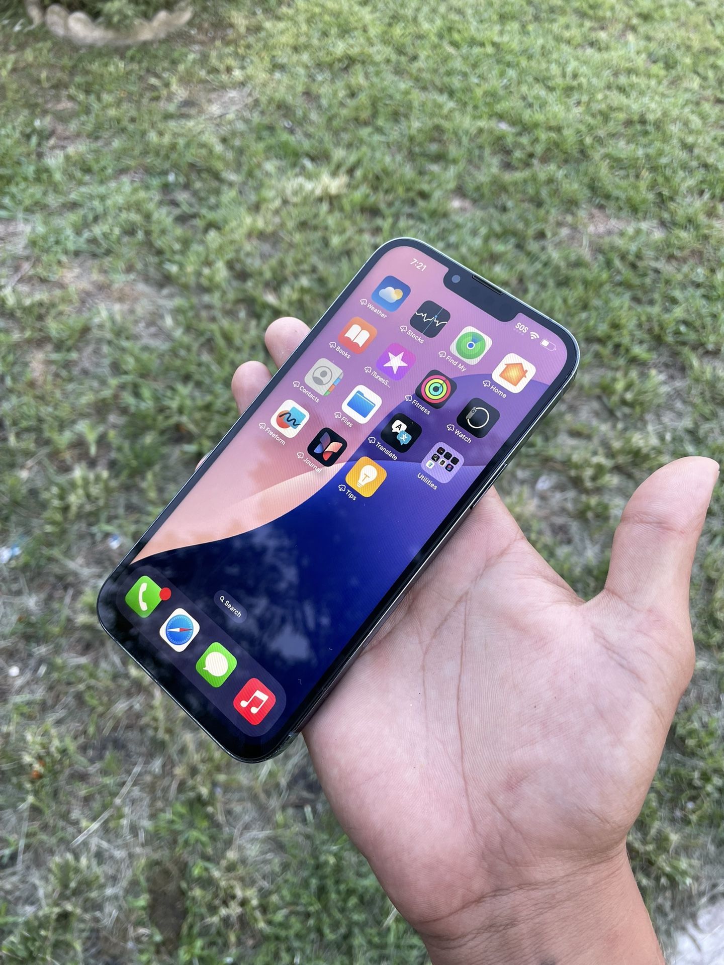 iPhone 13 Pro Max