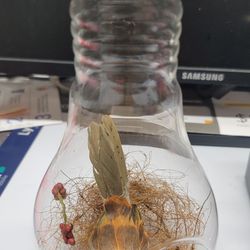 Decoración de pájaro