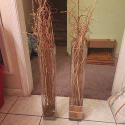 2 24 Inch Tall Glass Vases