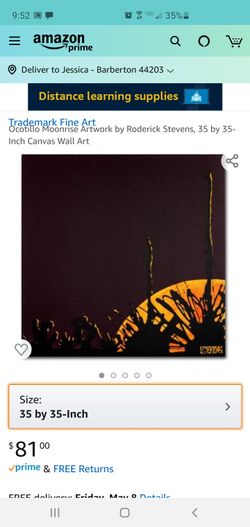 Trademark Fine Art 35" x 35" Wooden Frame Ocotillo Moonrise Artwork