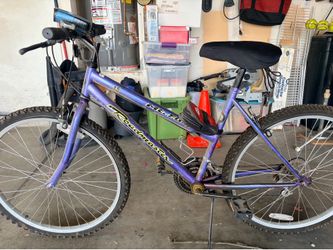 Women’s Roadmaster bike
