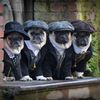 Pugsly