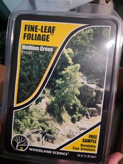 Miniature Fine-Leaf Foliage Green Tree