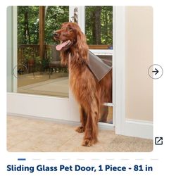 PETSAFE  Dog Door - LgTall - 81’ Door 1 Piece