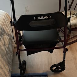 Holman handicap walker