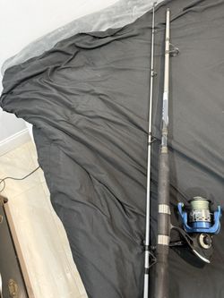 Blue Runner Rod 2 Piece With Jawbone 4000 On It