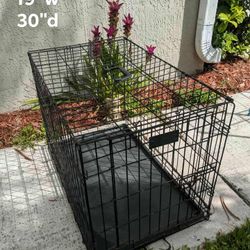 Dog Cage