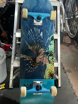 Skateboards all for 75