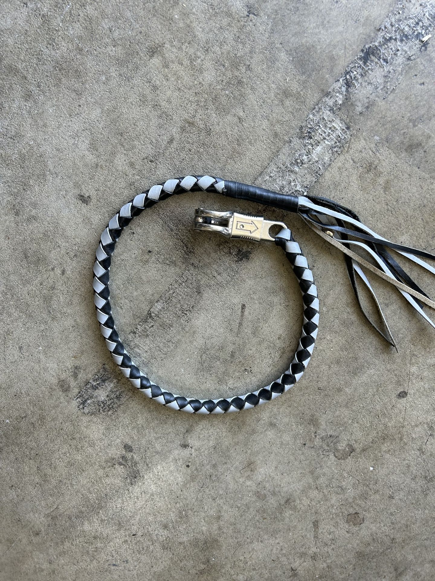 Harley Whip