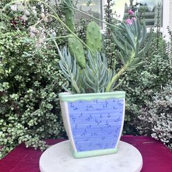 Upcycled Thrifted Planter with Cactus Succulent 