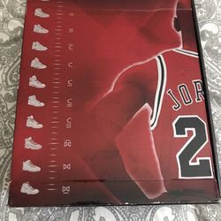 Air Jordan 6 Retro Countdown Carmines