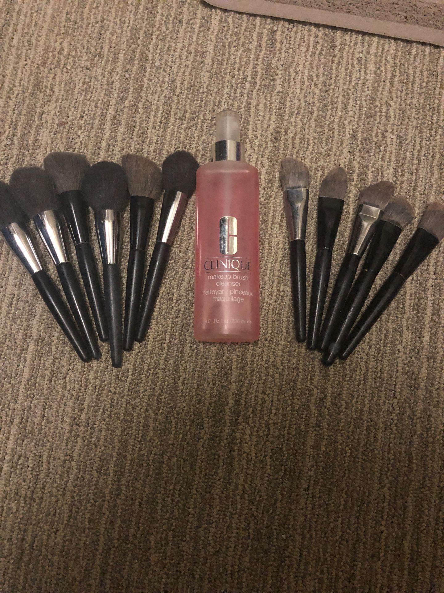 Makeup brushes and cleaner