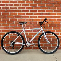1991 Specialized Hardrock Cruz