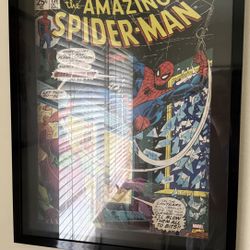 2 Spider-Man Framed Comic Pictures 
