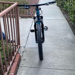 Polygon Relic Bike